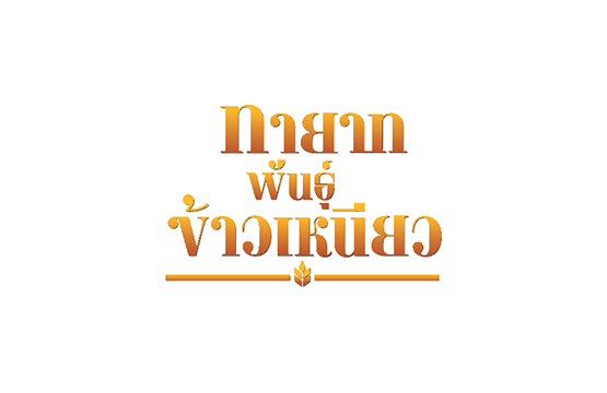 ช่องวัน31  จับคู่ซุปเปอร์สตาร์ลูกทุ่งขวัญใจมหาชน  ต่าย อรทัย  และ  ไผ่ พงศธร  ให้โคจรกลับมาเจอกันอีกครั้ง  ในละครสู้ชีวิตจากแดนอีสาน  “ทายาทพันธุ์ข้าวเหนียว” 