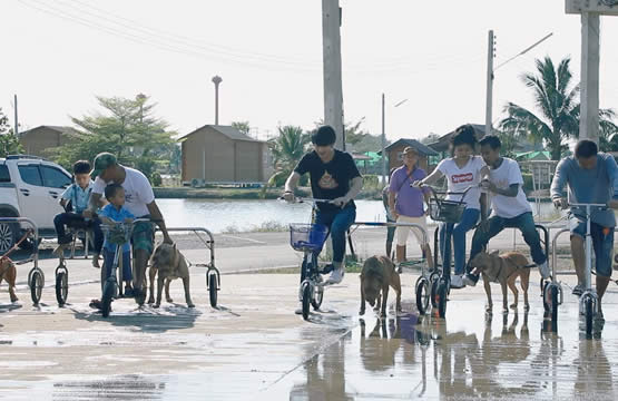 “เลโอ” พาทึ่ง “จักรยานสุนัขพิทบลู”  นวัตกรรมใหม่สำหรับคนรักสุนัข!!!